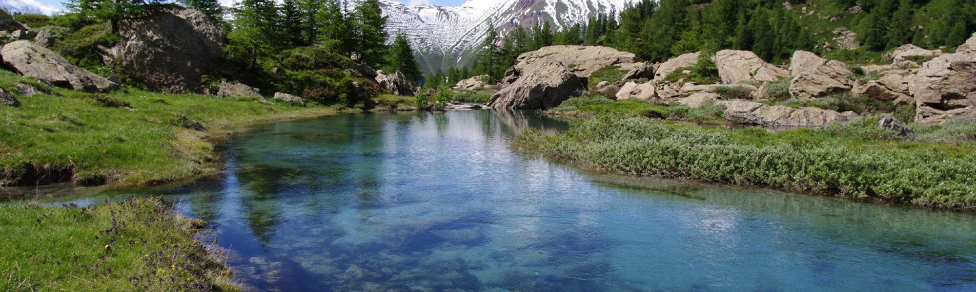 header_image