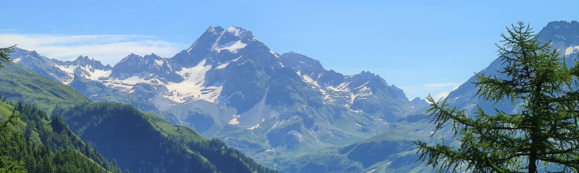 header_image