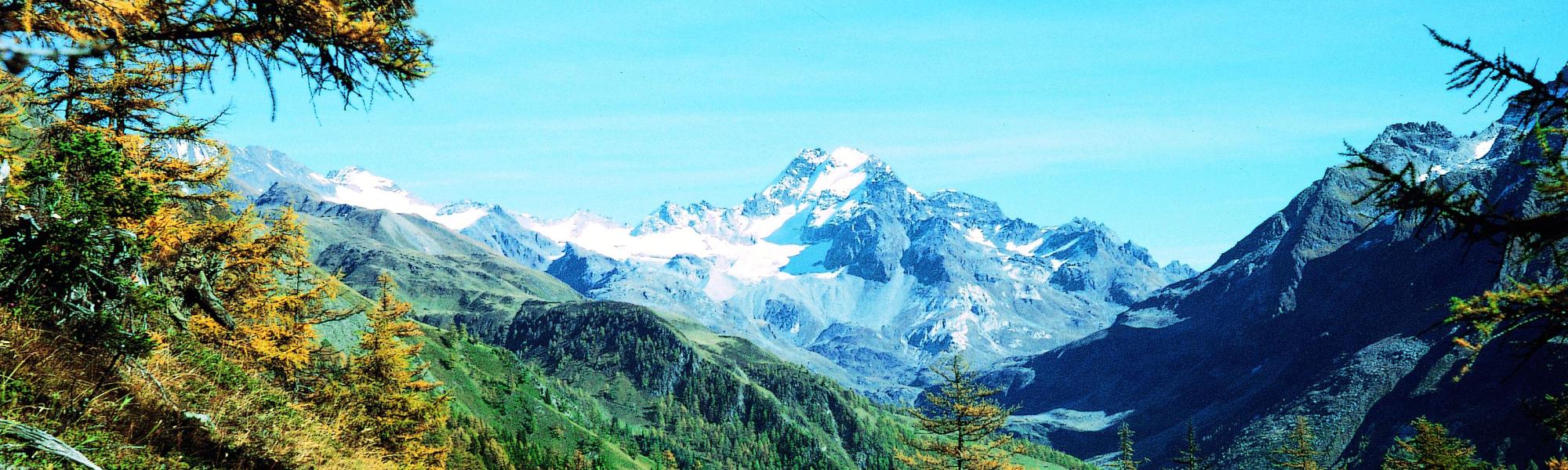 header_image